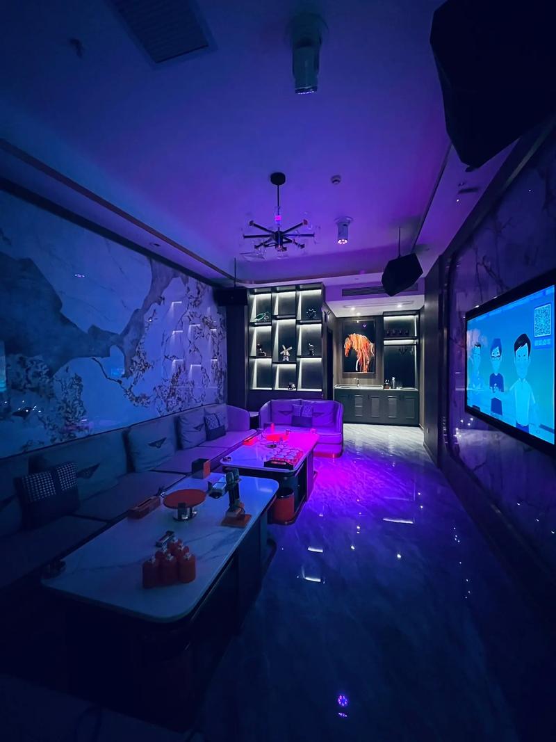 铜仁商务ktv及商务ktv啥意思解析-思南县ktv预定